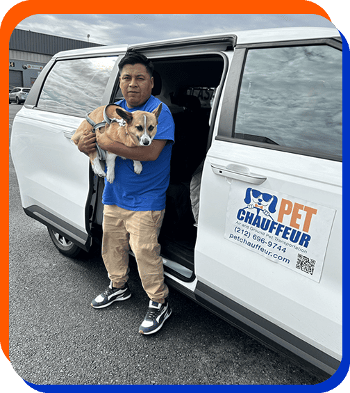 Pet Chauffeur