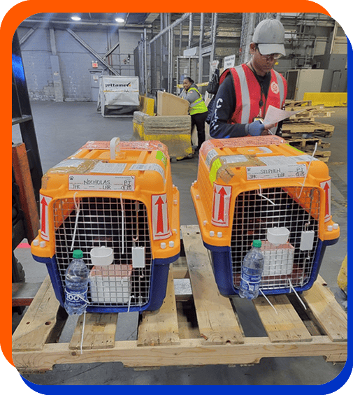 dog crates