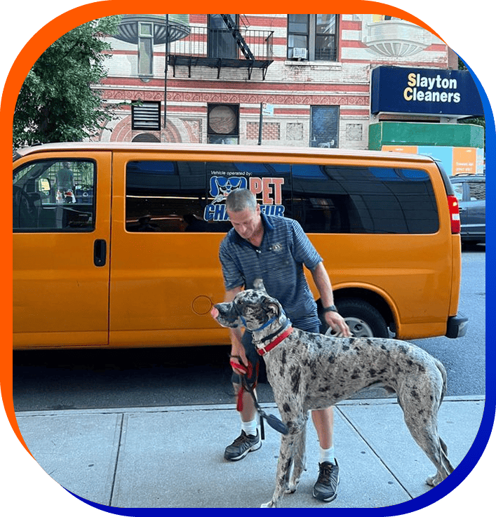 pet relocation