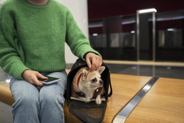 woman-carrying-her-pet-subway